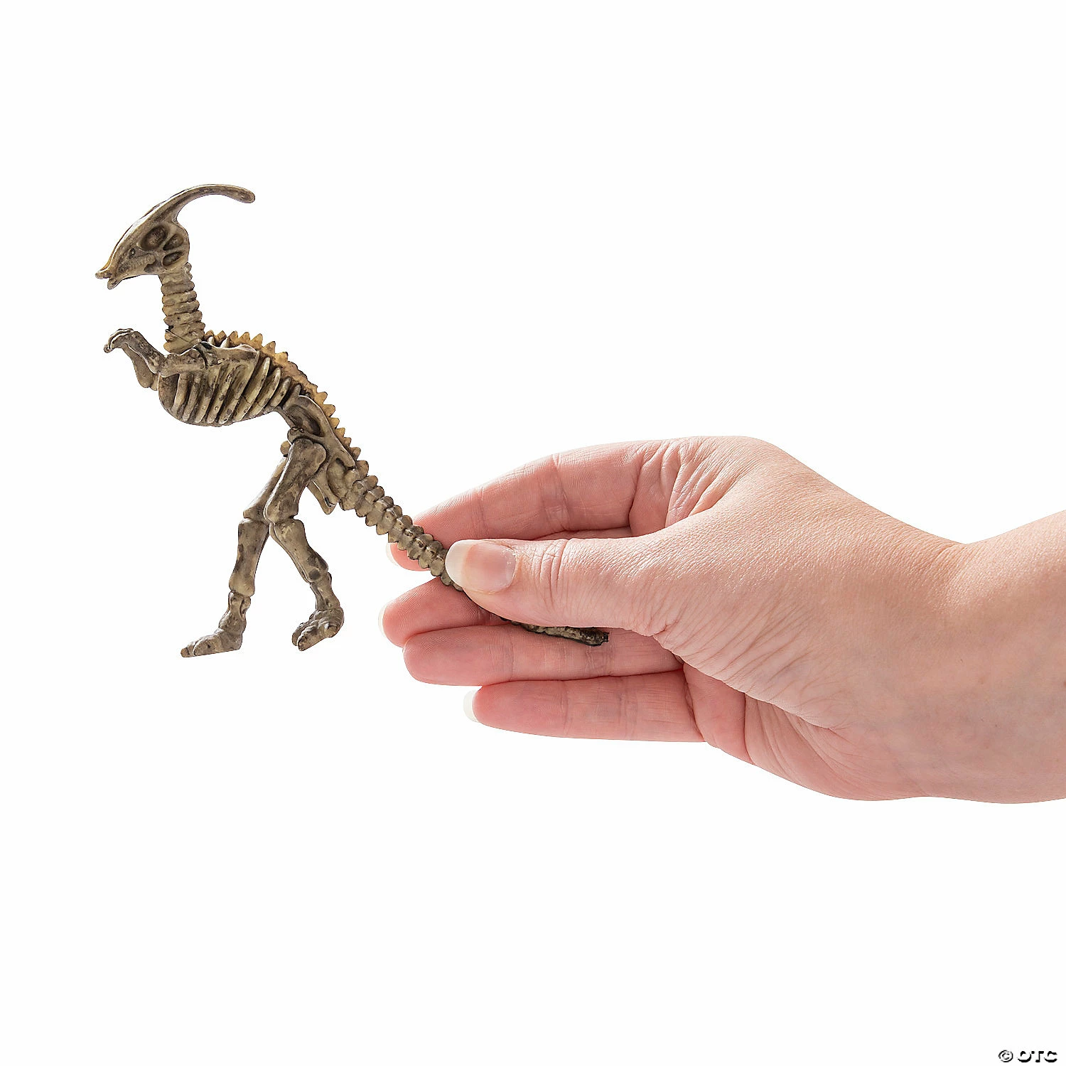 Budget ๐ Dino-Mite Dinosaur Skeletons - 12 Pc. ๐ 2 Budget ๐ Dino-Mite Dinosaur Skeletons - 12 Pc. ๐ - Image 2