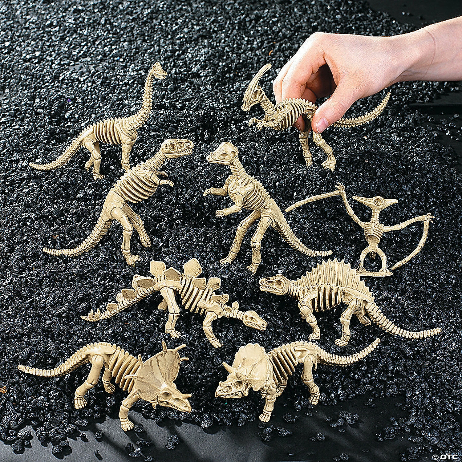 Budget ๐ Dino-Mite Dinosaur Skeletons - 12 Pc. ๐ 3 Budget ๐ Dino-Mite Dinosaur Skeletons - 12 Pc. ๐ - Image 3