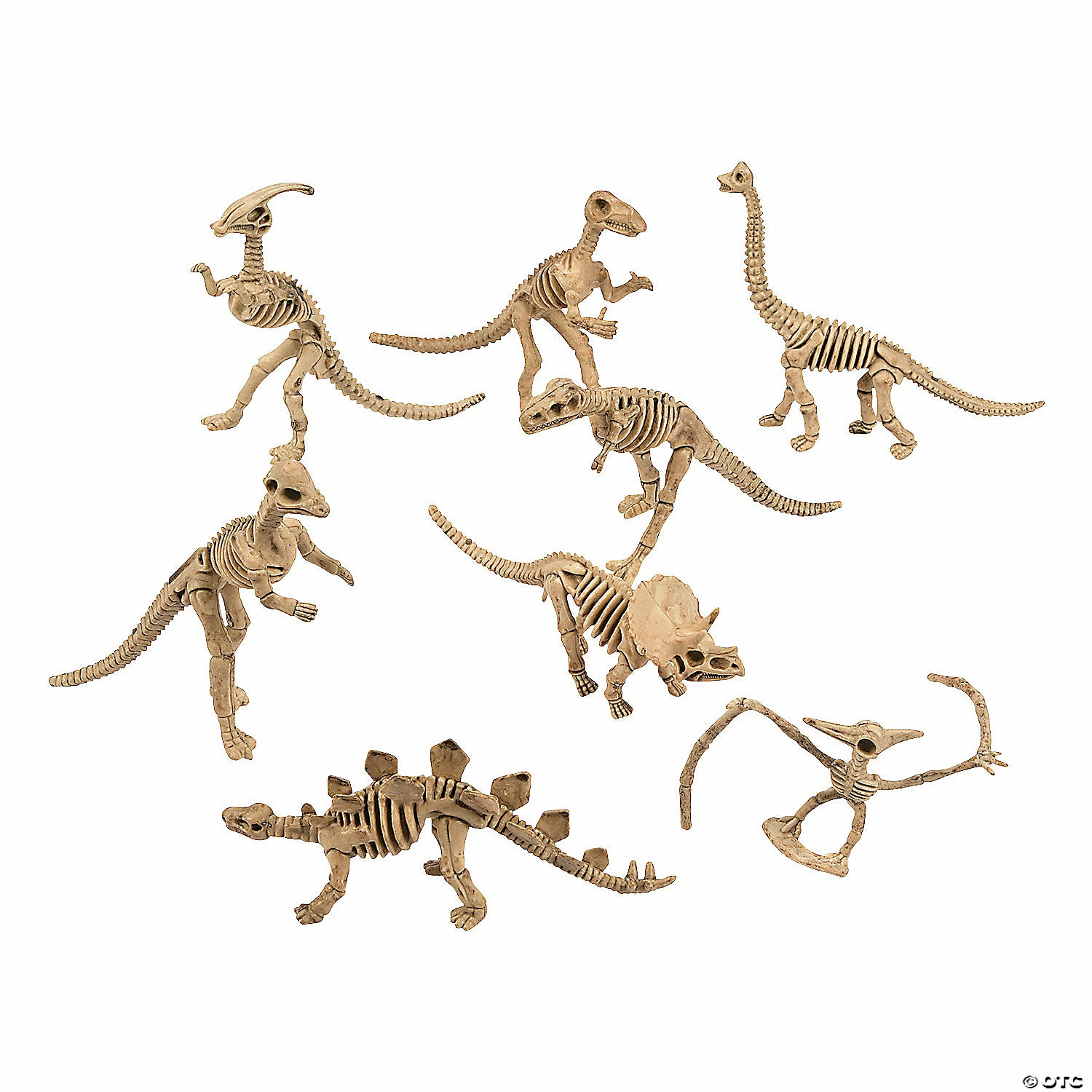 Budget ๐ Dino-Mite Dinosaur Skeletons - 12 Pc. ๐ 4 Budget ๐ Dino-Mite Dinosaur Skeletons - 12 Pc. ๐ - Image 4