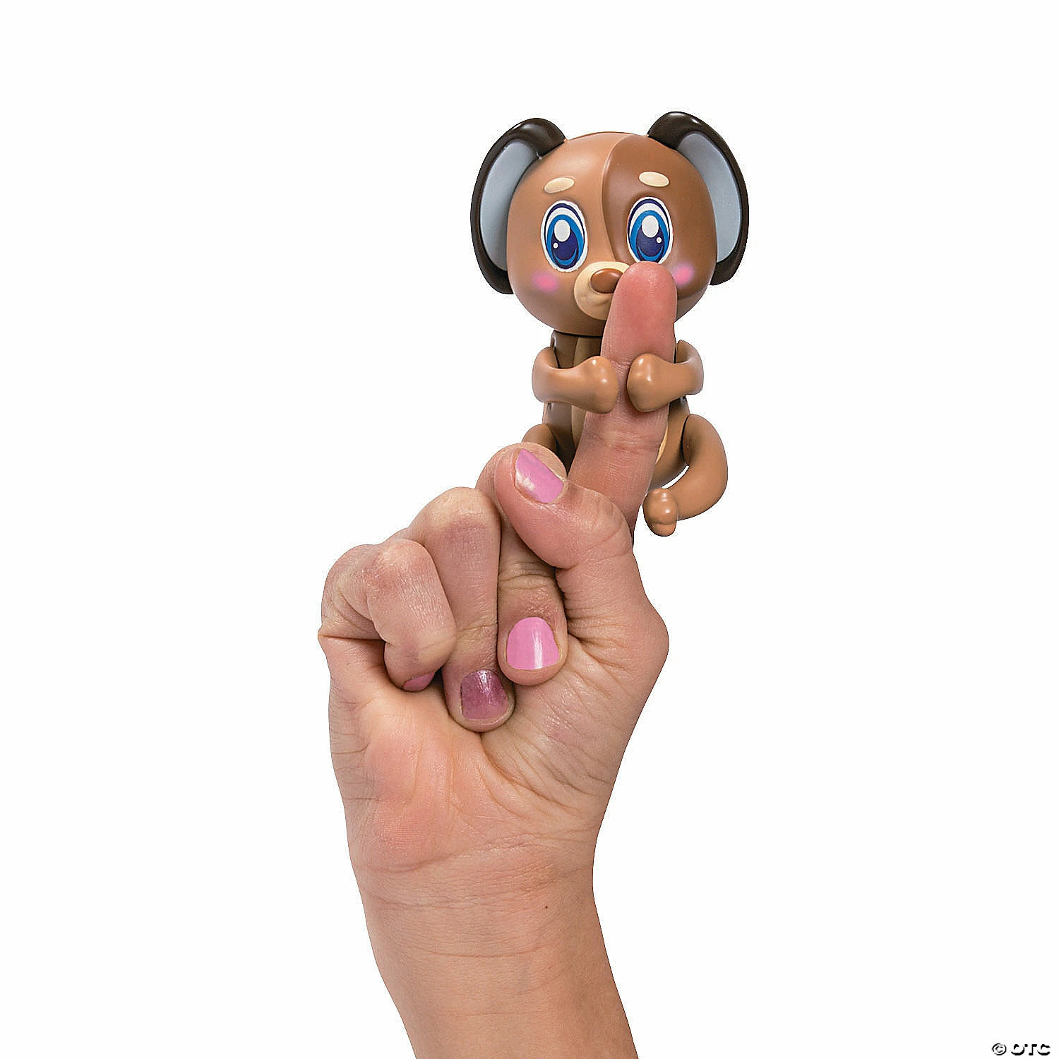 Top 10 👏 Friendlies - Felix the 🦮 Dog 🎉 2 Top 10 👏 Friendlies - Felix the 🦮 Dog 🎉 - Image 2