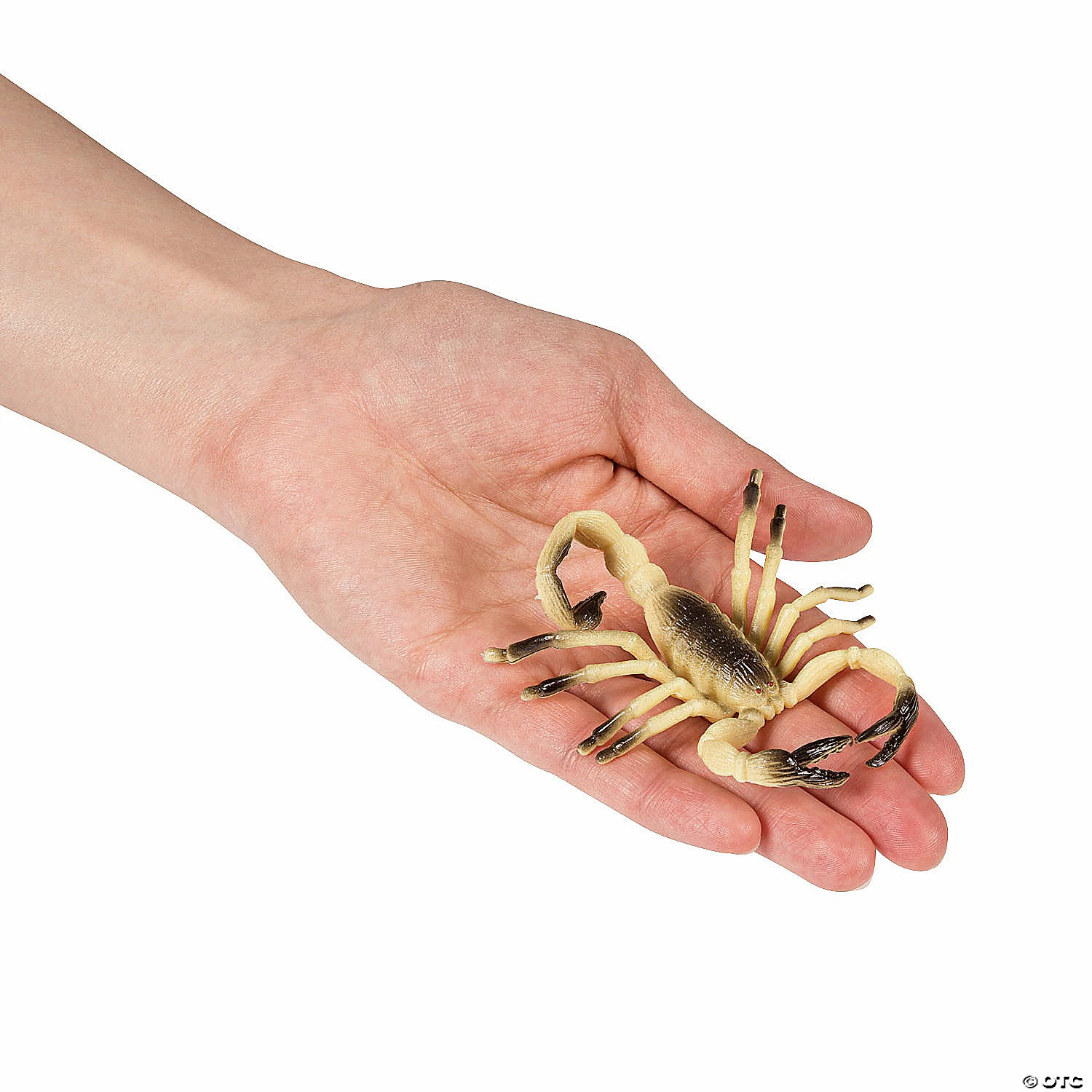 Promo ❤️ Just Buggy Bugs & Spiders 🎁 2 Promo ❤️ Just Buggy Bugs & Spiders 🎁 - Image 2