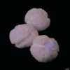 Brand new 🎉 Winter Stuffed Light-Up Snowballs - 12 Pc. 🔔
